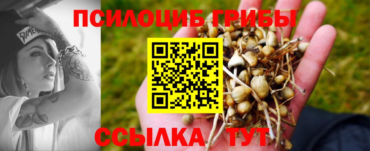 Псилоцибиновые грибы Magic Shrooms Благовещенск